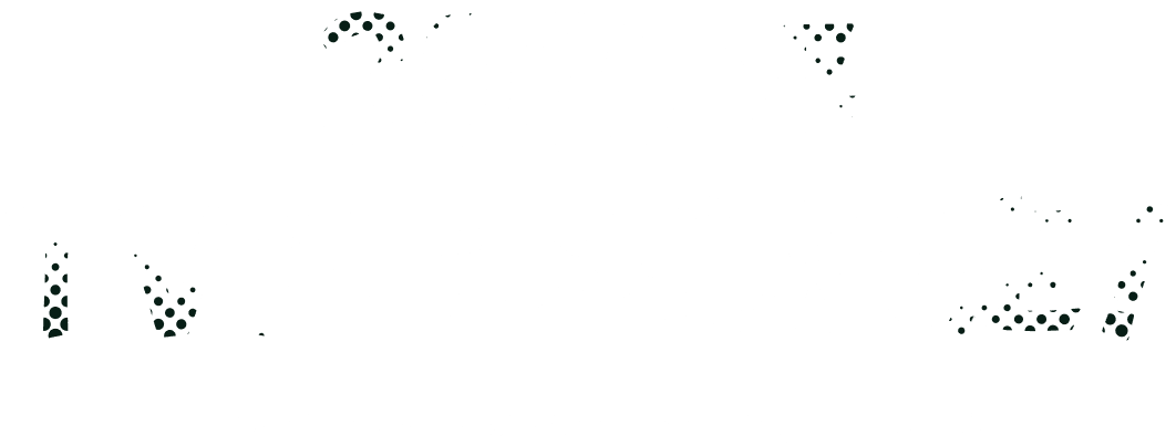 TVアニメ化決定！