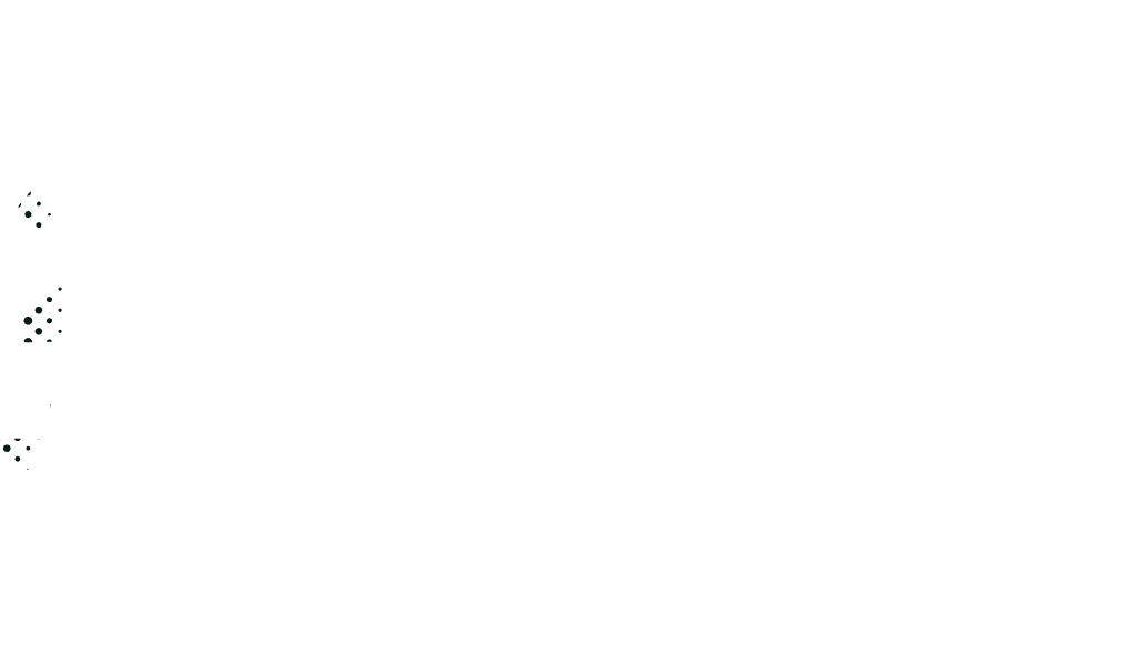 TVアニメ化決定！